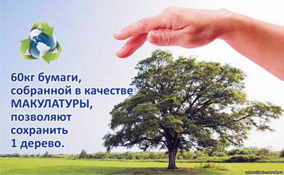Акция "Сдай макулатуру - спаси дерево"